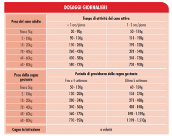 Сухой корм для взрослых собак всех пород с интенсивной физической нагрузкой Dog&Dog Expert Energy Adult All Breeds Image 1